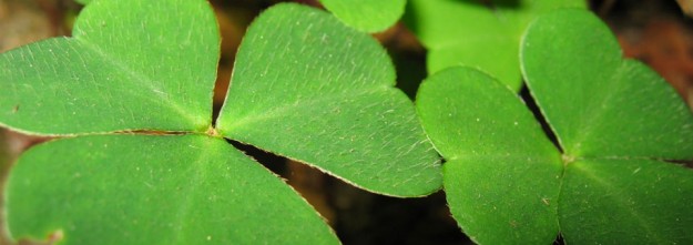 Plants_960x340