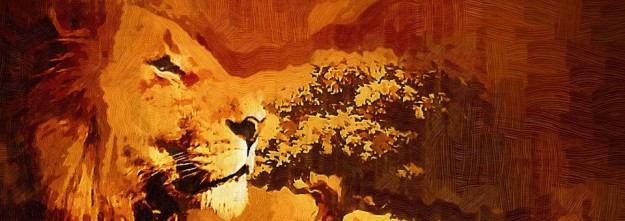Zuid-Afrika_960x340