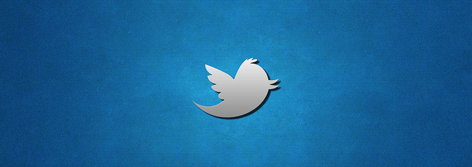 twitterendekamerleden-960×340